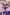 Canna Barbie String Bikini — Purple Splash Edition