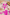 Pink Attitude String Bikini — Lifestyle Edition