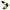 420 | Yellow | Women's slides